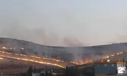 Göbeklitepe yakınlarında korkutan yangın!