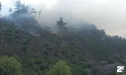 Kavurucu sıcaklar ciğerlerimizi küle çeviriyor