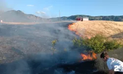 Kırsal alanda çıkan yangın söndürüldü!