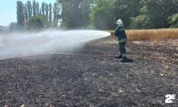 Kopan elektrik kablosu buğday tarlasını küle çevirdi