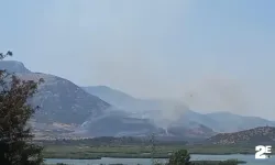 Korkunç yangın: Havadan, karadan müdahale ediliyor!