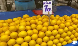 Limon fiyatları görenleri şaşırtıyor; Hangi ara bu kadar zamlandı!