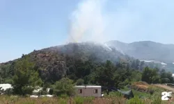 Orman yangını: Havadan ve karadan müdahale ediliyor!