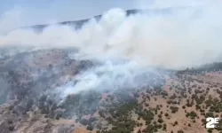 Orman yangınına havadan ve karadan müdahale