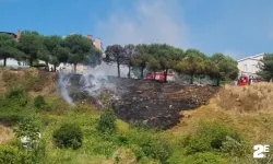 Ot yangını: Çam ağaçları zarar gördü!