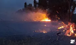 Saman balyaları ve ağaçlar kül oldu!