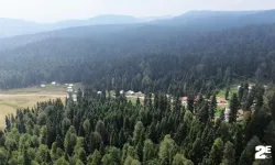 Serinlemek isteyen bu yaylaya koşuyor