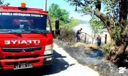 Sigara izmariti yangın çıkardı!