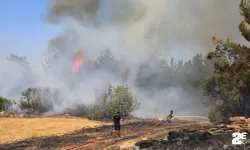 Yangın 5 saatlik çalışma sonucu kontrol altına alındı