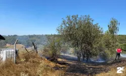 Anız yangını büyümeden söndürüldü