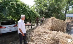 Balya taşıyan kamyonlar vatandaşı canından bezdirdi