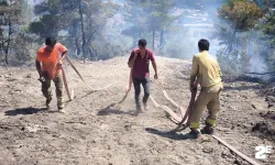 Bolu'daki orman yangını kontrol altına alındı!