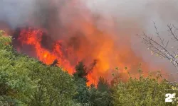 Bursa’da çıkan orman yangını 12 saat sonra kontrol altına alındı