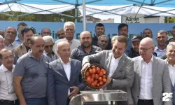 Çiftçiler, domatesi salça yapıp satacak