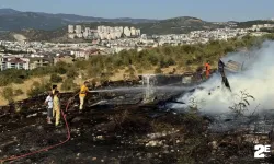 Çocuklar, otları ateşe verdi!