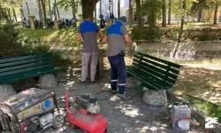 Eskişehir'de oturma bankları yeniden boyandı!