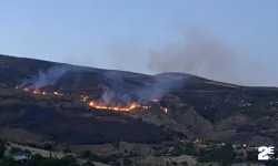 İtfaiye erleri yangından kurtardığı kaplumbağaya su verdi