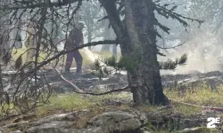 Kazdağları'nda yangına müdahale sürüyor