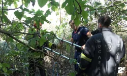 Kısaltmak için girdikleri yol kabusları oluyordu