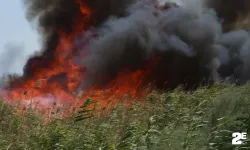 Kuşların göç yolundaki sazlık alanda yangın