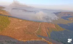 Manisa'daki orman yangınıyla mücadele devam ediyor!