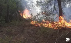 Ormanlık alanda korkutan yangın!