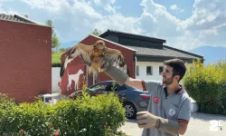 Yaban dostları doğal hayatlarına kavuştu