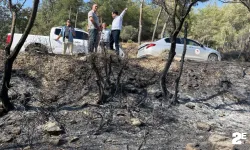 Yangında 13 dekar tarım alanı zarar gördü