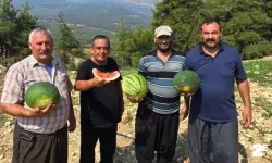 Yerli tohum yetiştiriciliğinde teşvik istendi