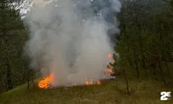 Yıldırımın düştüğü ormanlık alanda yangın çıktı!