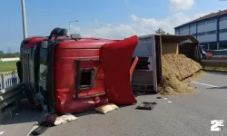 Boynunu arı sokan tır sürücüsü aracını devirdi!