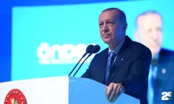 Cumhurbaşkanı Erdoğan: "Bu kılıçları kime çekiyorsunuz? ''