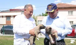 Gürhan Albayrak’tan Büyükşehir Belediyesine 'Doğal Yaşam Parkı' önerisi