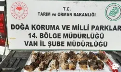 Kota aşımı yapan avcılar cezadan kaçamadı