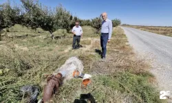 Kuyulardan tuzlu su çıkması çiftçileri tedirgin etti