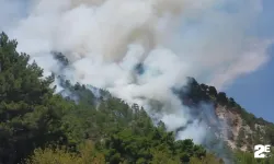 Orman yangınını söndürme çalışmaları sürüyor