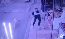 Sokak köpeğinden markete sığınarak kurtuldu