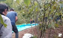 Traktör dere yatağına devrildi!