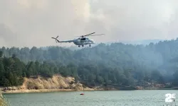 Uşak'taki orman yangınına müdahale sürüyor