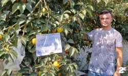 Ağaca astığı yazı ile insanlık ölmemiş dedirtti