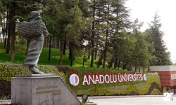 Anadolu Üniversitesi, Avrupa'nın en iyi 487. üniversitesi seçildi