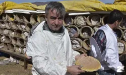 Bitlis'te dünyaca ünlü karakovan balının hasadına devam ediliyor