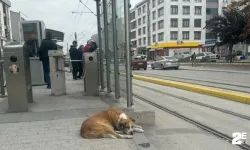 Eskişehir’de insanın içini ısıtan görüntü