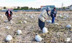 Eskişehir'deki üretici kadınlar hem mutlu hem gururlu