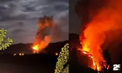 Geceyi aydınlatan orman yangını