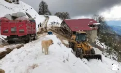 Hayvanları ile mahsur kalan 6 kişi kurtarıldı