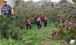 Hurma toplamak isterken canından oldu