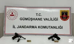 Jandarma ekipleri ruhsatsız silahlara geçit vermedi