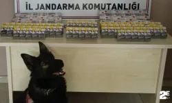 Kontrol için durdurulan kamyonda kaçak sigara yakalandı