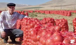 Kuru soğan üreticinin yüzünü güldürüyor